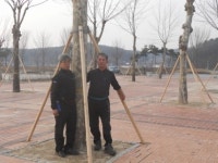 경기도 여주군 점동면 테마공원 “확 달라졌다