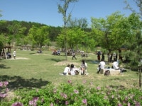 황학산수목원, 다채로운 어린이날 행사 열려