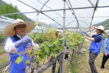 박근희 삼성생명 사장, 농어촌 봉사활동 실시