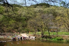 [여행]봄이 떠나는데...춘마곡 그 비경을 어이할꼬