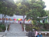 호국의 영령들 정신 기리며 숲길을 걷다