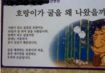 호랑이 인간이 못된 이유 호랑이가 배려 종결자였네