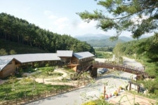 봉화목재(주)(1종) | 경북 봉화군,봉화목재문화체험장 체험프로그램 본격 운영