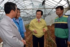 강운태 시장, 태풍 볼라벤 피해 현장 점검