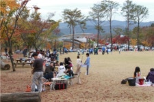 용인도시공사 자연휴양림‘제2회 녹색 사생대회’개최