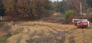 여주군 흥천면 상백1리 주민들, 암투병 농가에 벼베기 실시