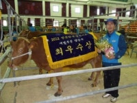경북 의성군,의성마늘소  전국한우경진대회 최우수상 수상