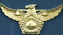 성남중원서경찰관,새벽 출근길 절도범 검거·구속