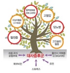 성남시보건소, 대사증후군 집중관리 ‘연중무료검진’