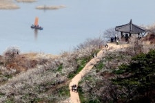 ‘남도꽃길 첫 여정’ ... 부·울·경 관광테마열차 24일 출발