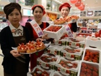[포토] 롯데 광복점, 지역 특산물 행사 14~21일 진행 ... ‘딸기 Festival’