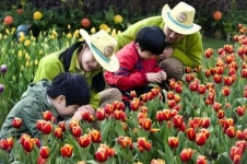 에버랜드, 테마파크에 교육 접목 에버에듀스쿨 12일 신설