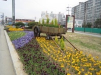 용인시 꽃향기 가득한 처인구로 오세요