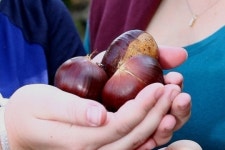 [여행]공주의 ‘밤 문화’ 한번 즐겨보시지요