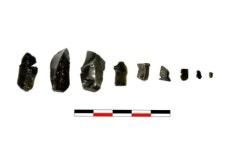 경기 연천군, 후기 구석기시대 유물 출토