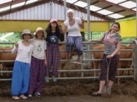 남양주 슬로푸드국제대회, 주한 외국인 한국 농가의 체험