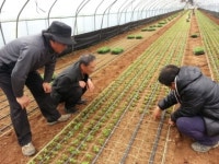 이천시, 귀농현장실습 지원 사업 추진