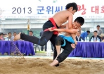 경북 군위군, 2013년 군위군 씨름왕 선발대회 성료