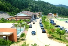 경북 영양군, 문향골 문학캠프 운영