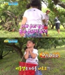 성빈 자두따기 아빠 우리 같이 힘을 모아서 땄어…훈훈한 남매애 과시