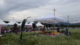 경주 쪽샘 새로운 경주관광지로 변신