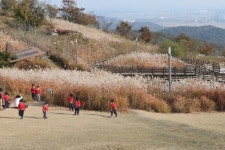 아산 힐링마운틴 1번지 영인산 오색단풍 절정