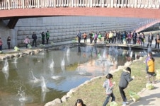 [포토]사상구, 삼락천 ‘EM 흙공 던지기’ 하천정화 활동
