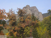 주산지가 기다리는 주왕산 가을 풍경