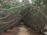 호수와 정원이 빼어난 시원한 쉼터