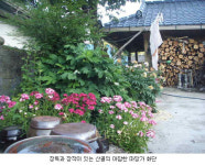 화초를 기르는 소박한 산골 인심