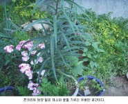 화초를 기르는 소박한 산골 인심