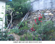 화초를 기르는 소박한 산골 인심