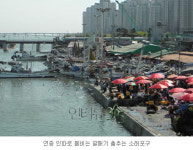 연중 성시를 이루는 해산물 장터 소래포구