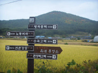 안동 풍천면에는 볼 곳도 많더이다