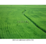 생태복지가 있는 도시를 만들자