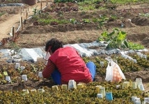 세월이 하 수상해도 먹고 살기 바쁜 세상