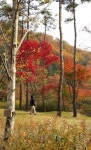 놓치기 싫은 만추의 아름다운 운치