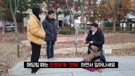 오는 11일 본격 B급 펫튜브의 첫 탄생, 펫, 그것을 알려줄개