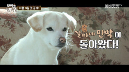 짱절미, SF9 유태양∙영빈과 만났다, 어바웃펫 절미네 민박2 공개