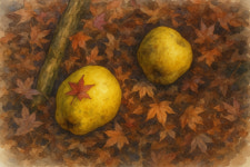 [김지수 시인의 좋은 시 365] 모과