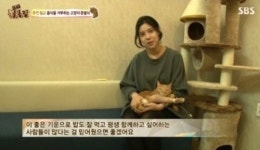 동물농장 배다해, 식음까지 전폐한 유기묘에게..천사가 따로 없네