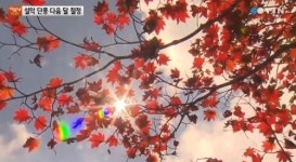 설악 오색케이블카 노선 확정, 어느 호텔 부근이 노선에 포함됐나