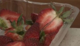 호주 바늘 딸기 용의자는 난민 출신 농장 직원