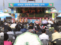 남대천 둔치서 강원축산 잔치 한마당 ‘신명’