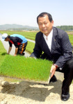 안성 대덕농협, 벼 우량육묘 공급