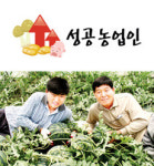 허문출 씨 시설수박+벼농사=연 매출 5억