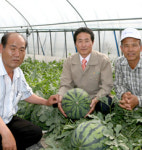 고창 ‘성내스테비아수박’ 연일 최고값