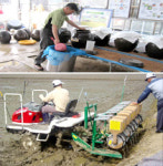 농업 생산비를 줄이자 (18)품목별 우수사례 (상)쌀