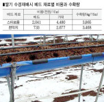 “천막으로 딸기 수경베드 만들면 자재비 절반”