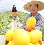 [사진]“고놈 참 맛있겠네”